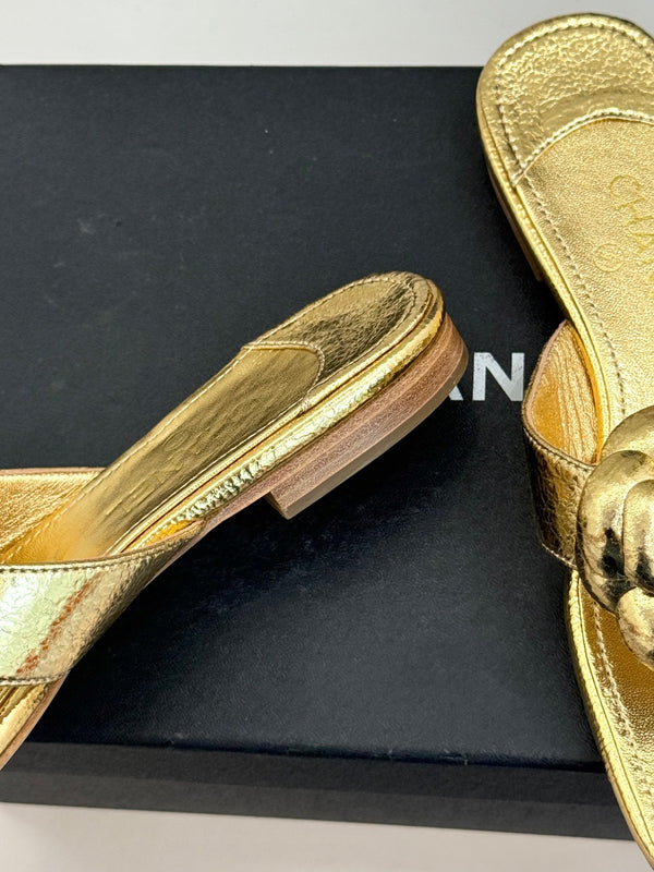 Chanel 26 Camellia Flip-Flops Gold in Cowhide 706390