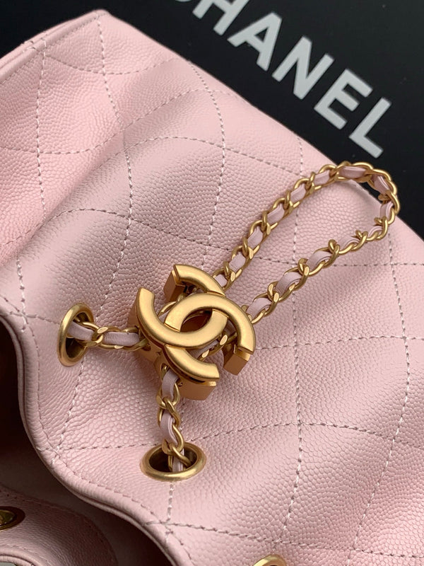 Chanel 25S Hobo Bag 22 in Light Pink Caviar with Gold Hardware