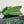 BV Liberta Crossbody Bag Buckle 30cm Green Pepper Cowhide