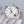 SEAMASTER AQUA TERRA 150M CO-AXIAL WHITE DIAL BLUE HAND