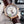 DEVILLE CHRONOMETER 40MM MOONPHASE WHITE GREY DIAL