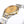 DEVILLE PRESTIGE 27MM STEEL CASE