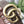 GG BELT 40MM GOLD BUCKLE BEIGE CANVAS