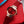 BVL LVCEA 33 PINK GOLD RED DIAL LEATHER STRAP