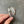 SERPENTI SPIGA SILVER GREY DIAL
