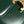 TEEN TRIOMPHE 18 GREEN CALFSKIN