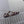 Miumiu Sandal Dark Brown Calfskin