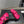 CC 25SS Flower Buckle Platform Beach Slides in Fuchsia Pink High-Mercerized Sardine