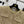 CC 25 Wool Gold Yarn Tweed Suit