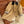Miumiu Mid-Length Corduroy Collar Trench Coat Beige Cotton