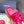 CC 25 Dad Sandals Pink Rope and Sheepskin 473368