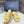 CC 25 Sandals Yellow Rope and Sheepskin 473364