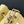 CC 22B Mini Chain 12.5cm Buckle Bag Yellow Calfskin