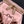 CC 22B Mini Chain 12.5cm Buckle Bag Pink Calfskin