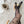 CC high-end flocked logo haute couture pantyhose