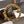 CC Gold Chain Buckle 40mm Brown Gold Lambskin 196575