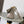 Loewe Ola Handbag Medium 26cm in Beige Silver Calfskin  274224