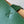 LOE 31 Medium Puzzle Fold Tote In Amber Hunter Green Glossy Cowhide 274319
