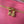 LV Nice Nano Cosmetic 20 Bag Pink Epi Leather 275225