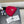 Moncler Classic Red Knit Hat in Cashmere 980193