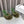 Loewe 25SS Fur-lined Mule 100 Green in Fox Fur 597443