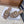 CD Montaigne Sandals Taupe in Calfskin 598171