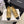 CC Pearl Heel with Rhinstone Clasp Mary Janes Beige Cowhide 602354