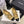 CC Pearl Heel with Rhinstone Clasp Mary Janes Beige Cowhide 602354