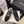 CC Pearl Heel with Rhinstone Clasp Mary Janes Black Cowhide 602353