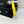 CC Women's Belt 3.0CM Yellow Cowhide 586498