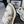 CC Sneaker White Silver Metallic in Cowhide 611669