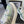 CC Sneaker Green Silver Metallic in Cowhide 611666