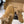 CC 26 Furry Loafer Brown Suede Kidskin and Shearling Lambskin 611596