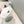 Prada Beret Pumpkin Style Women's White in Canvas 125793