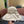 Chanel Korean Style Bowknot Hat Beige in Cloth 192189