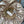 Chanel Wide-brimmed Fisherman Hat Beige in Cloth 197791