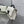 Dior 26 Bow Pearl Chain Clutch Two Tone White Black Lambskin SHW