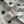 Dior 26SS a Four-leaf Clover Print Shirt White in Cotton 198140