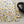 Dior 26SS Floral Silk Shirt White Yellow in Mulberry Silk 203811