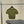 Miu Miu Short-sleeve Top Olive Green in Cotton 219023