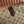 Gucci Aperitivo Medium 26 Shoulder Bag Brown in GG Canvas 284944