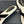 Chanel 26C Camellia Rope-Soled Flip-Flops Black in Velvet 717718
