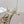 Loewe 26 Sandal 50 Champagne Metallic in Sheepskin 738803