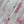 Dior Pink Floral Print Elastic Waist Midi Skirt in Cotton 376601