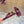 Loew Toggle Sandal Burgundy in Cowhide 749329