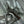 CD Toujours Vertical 18cm Silver in Cowhide 286392