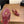 CC 26 Coco Beach Mules 80mm Burgundy in Mesh 757985