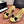 CC 26SS Pearl Heel 70mm Bow Sandals Gold in Netting fabric 760567
