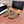 CD 26SS Pearl Heel 70mm Bow Sandals Gold in Cowhide 760559