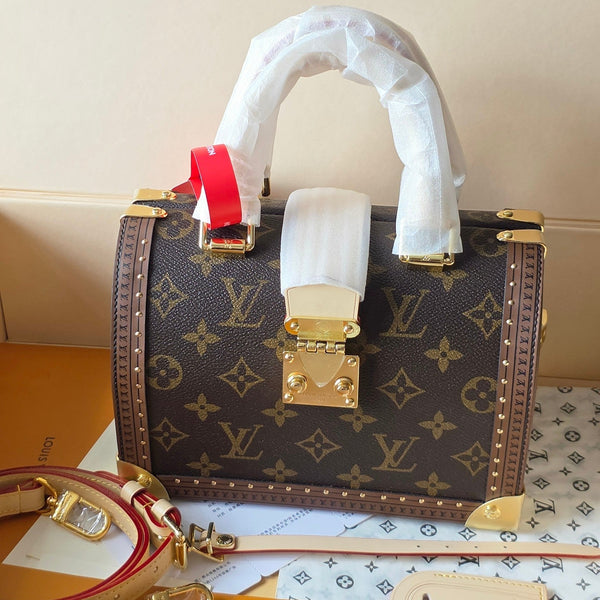 LV Speedy Trunk Handbag 21cm Brown in PVC Fabric with Leather 287737